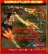 Double Dragon Sword